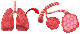 Customer Centric Approach